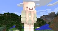 This custom skin allows players to take the likeness of Dream's little sister (Image via Mochhi/The Skindex)